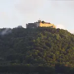 Zaunkoenig