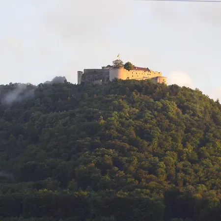 Zaunkoenig